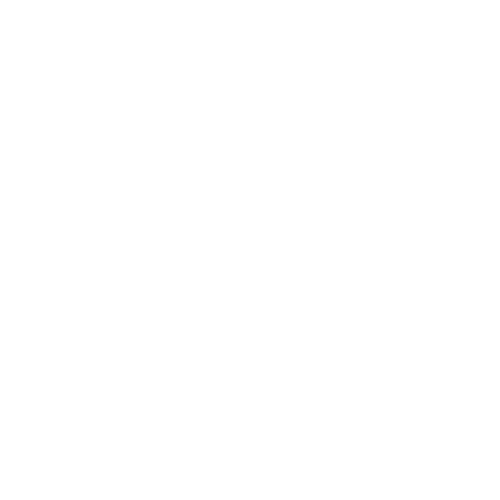 لوگوی BYD